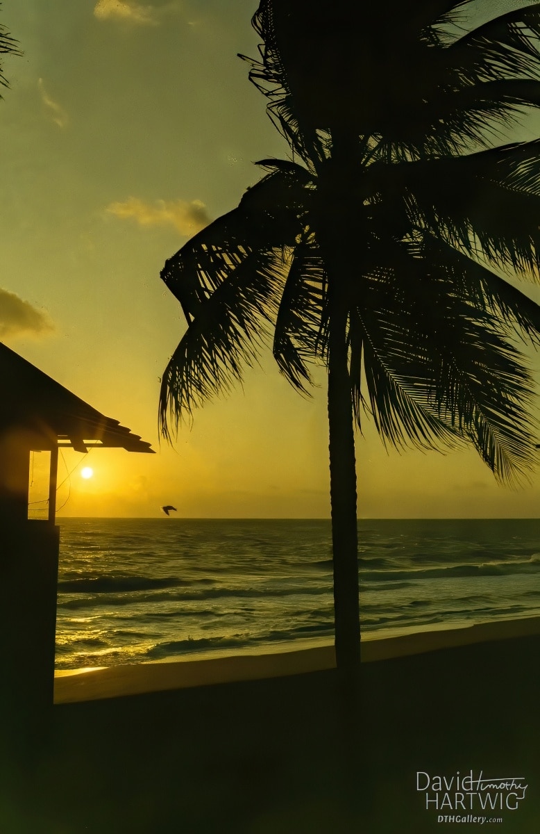 Sunrise on a Beach - Ft.  Lauderdale, FL.
