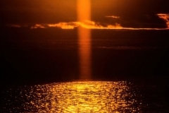 A Sea of Orange - Kauai HI.