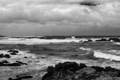 Desolate Morning - Sunset Point, Monterey Peninsula, CA.