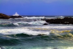 Monterey Surf - Monterey CA.