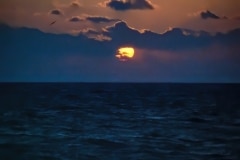 Ocean Sunrise - Key Largo, FL,