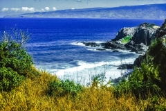 Pacific Cove - Hawaii HI.