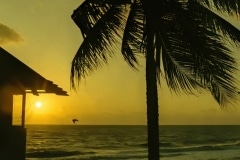 Sunrise on a Beach - Ft.  Lauderdale, FL.