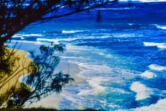 Swim Time - Maui HI.