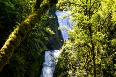 Double Fall - Columbia River Gorge OR.