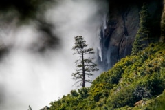 Ignition at Yosemite - Yosemite CA.