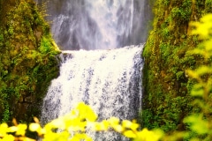 Over the Edge - Columbia River Gorge OR.