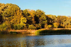 A Family Outing - Elk Grove Village, Il.