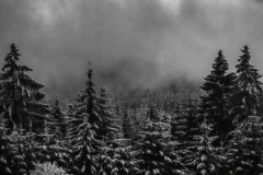 Blue-Winter-in-Germany-Bavaria-Germany-Edit-denoise-denoise