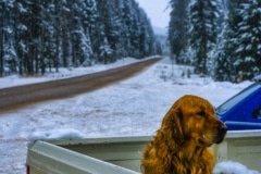 Lonely and Cold - Western MT.