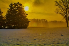 Promising Light - Bensenville IL.