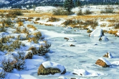 Winter Creek - Rocky Mountain CO.
